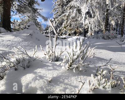 Winter in Poland - Beskidy mountains snowy view. Beskid Zywiecki trail - Hala Lipowska. Stock Photo