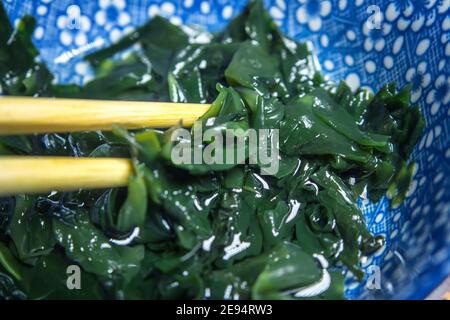 Wallpapers with Japanese food: wakame seaweed (Undaria pinnatifida) Stock Photo
