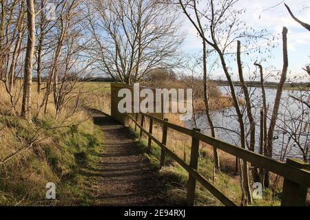 The bird hide at Bolton on Swale Lakes nature reserve, Bolton on Swale, N. Yorks, England. The reserve is owned & managed by Yorkshire Wildlife Trust. Stock Photo