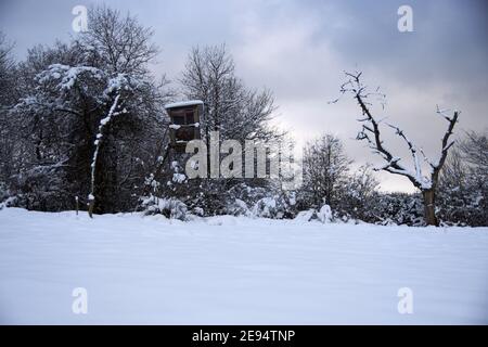 Landscape photo in winter in the Eifel - Germany under a cloudy sky, you can see snow, conifers and deciduous trees Stock Photo