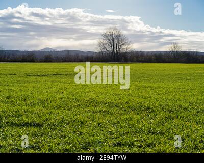 Mountain behind a field in the sun after a clearing storm. Stock Photo