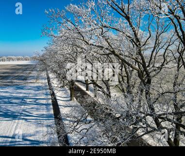 Sieversdorf, Germany. 31st Jan, 2021. Trees and bushes are covered with hoarfrost (aerial view with a drone). Credit: Patrick Pleul/dpa-Zentralbild/ZB/dpa/Alamy Live News Stock Photo