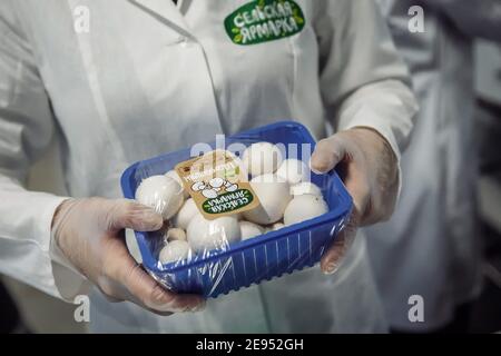 Moscow, Russia - May 14, 2019: Mushroom farm. Lots of mushrooms. Mushroom farm. Lots of mushrooms. Stock Photo