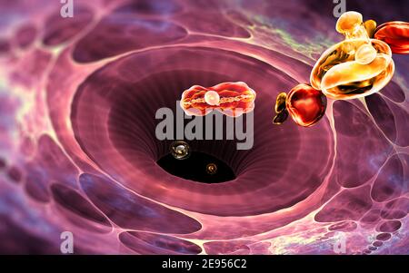 Immune system cell. White blood cell eats bacteria. 3d illustration Stock Photo