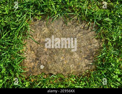 Top view of gray figured square pavement of one sized. Green grass grows in the seams. Exterior design paving tile background. Stock Photo