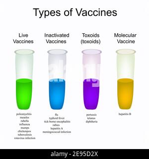 Types of vaccinations. Vaccinations against diseases. Vector illustration Stock Vector