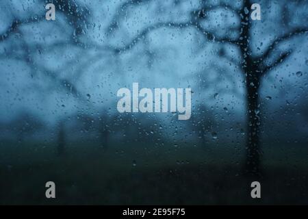 Closeup shot of raindrops on a window with a view to a gloomy forest Stock Photo