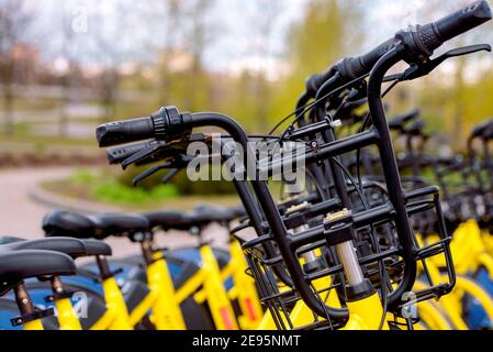 Bicycle sharing in Europe. A healthy walk. quick ride.World Cycling Day June 3 Sports bike.Healthy lifestyle and sport in city Stock Photo