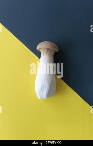 Eringi mushrooms on a yellow-gray background. Pleurotus. Flatley. Copy space. Stock Photo
