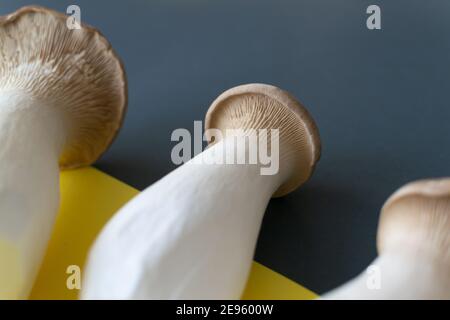 Eringi mushrooms on a yellow-gray background. Pleurotus eringi. Close-up Stock Photo