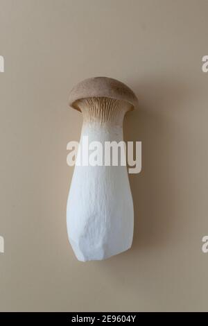 One eringi mushroom on a pastel background. Pleurotus eringi. Vegetarian food concept. Vertical orientation. flat lay Stock Photo