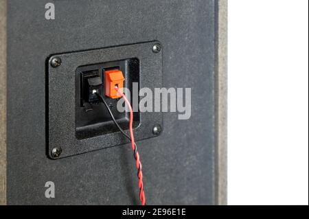Red and black twisted wire connected to connection socket on rear side of speaker system box side view studio photo isolated on white close up Stock Photo