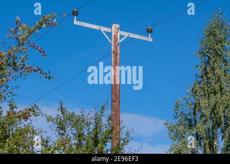 Top of power line with trees in front Stock Photo