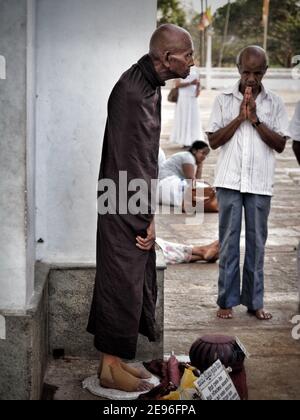 ANURADHAPURA, SRI LANKA - March 9, 2019: Old south asian Monk praying in front of Ruwanwelisaya dagoba -temple. Stock Photo