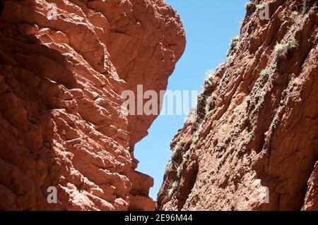 Quebrada de las Conchas (Salta, Argentina) Stock Photo