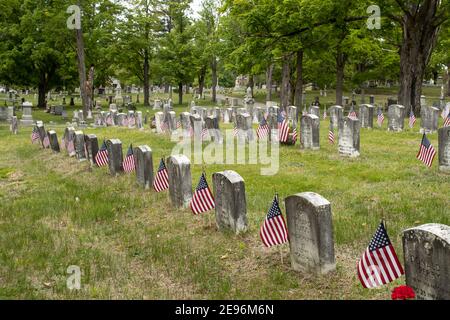 American flags adorn the gravesites of US Veterans approaching Memorial Day. Pine Grove is the city's only active municipal cemetery. It totals 275 ac Stock Photo