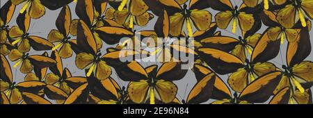 Abstract background of butterflies. The combination of yellow and gray colors. Summer concept Stock Photo