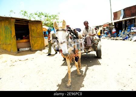 A donkey cart carrying goods to the Aksum market in Tigray, Ethiopia. Stock Photo