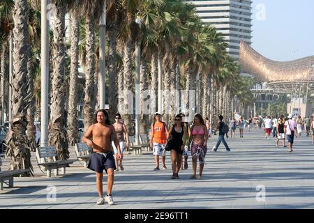 BARCELONA, SPAIN - AUGUST 14: People walking on Barceloneta Palm road, August 14, 2009 in Barcelona, Spain. Frank Gehry's Peix d'Or (Whale Sculpture) is seen at the end of the road. Stock Photo