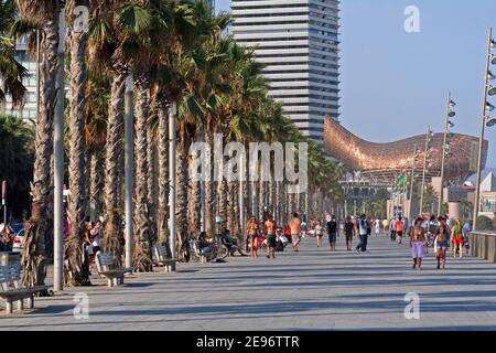 BARCELONA, SPAIN - AUGUST 14: People walking on Barceloneta Palm road, August 14, 2009 in Barcelona, Spain. Frank Gehry's Peix d'Or (Whale Sculpture) is seen at the end of the road. Stock Photo