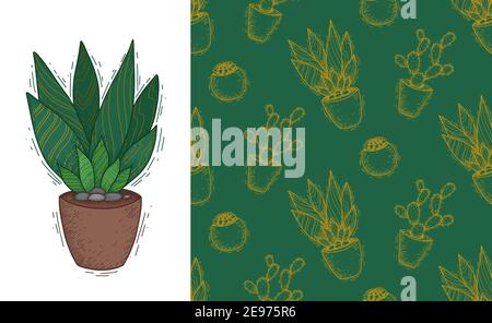 Succulent plant in a clay pot. Wallpaper with home flowers. Fabric with cacti. Set of doodle postcards and patterns. Vertical banner and natural textu Stock Vector