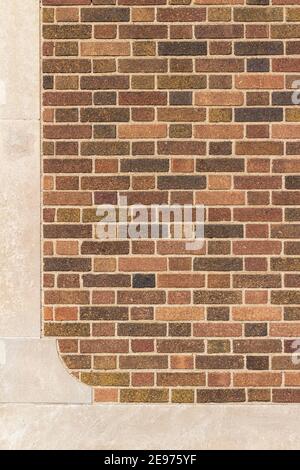 Vintage textured brick wall background in Flemish bond pattern with bricks in multiple shades of brown and beige, and a white stone moulding Stock Photo