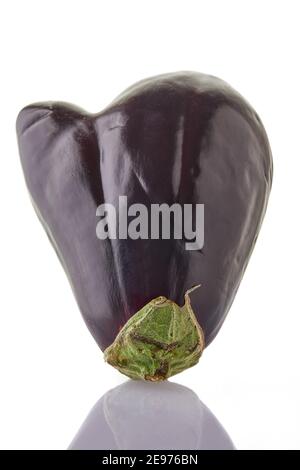 Heart shaped ugly eggplant isolated on white background, closeup, vegetables for a healthy diet Stock Photo