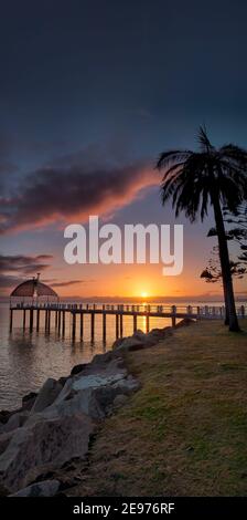 Scenic, vertical panorama of a blue hour sunrise of an iconic palm tree and the Strand sail pier on the Townsville breakwater in Queensland, Australia. Stock Photo