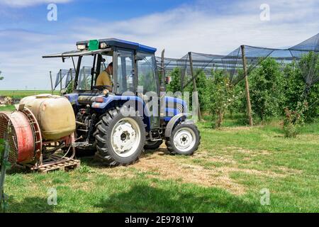 Farmer Sitting in Tractor Cabin at His Apple Plantation Covered with Hail Protection Netting. Stock Photo