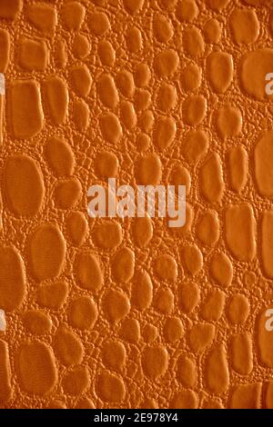 Abstract background of green reptile skin. Stock Photo