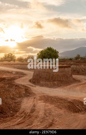 An isolated tree in the middle of a large excavation on a small island at sunset. Environment concept Stock Photo