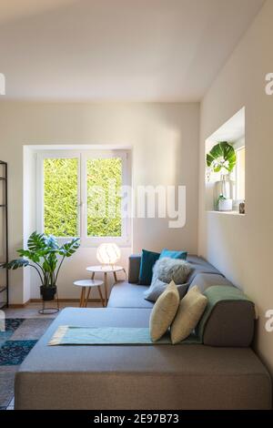 Close up of modern living room with design sofa and colorful pillows above. Bright window with views on garden and decorative plants. Nobody inside Stock Photo