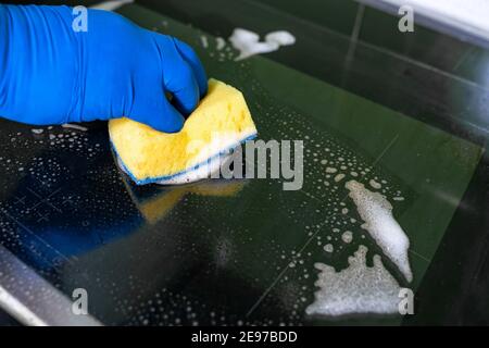 men's hand in blue glove washes the modern electric hob with a sponge . Close-up view Stock Photo