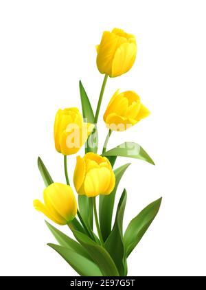 Bouquet of spring yellow tulips isolated on white background. Realistic vector illustration Stock Vector
