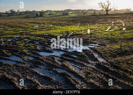 Tractor tracks in a muddy field near Wyaston, Derbyshire Stock Photo