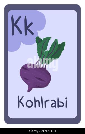 Alphabet vector illustration with food, vegetables and fruit. ABC card, letter k - kohlrabi. Healthy food. Stock Vector