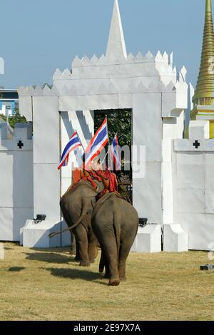 In the city of Surin, located in  Thailand -isan-, during November from the 20 until the 22 ,in the year of 2020 ,“elephant round up festival 2020” Stock Photo