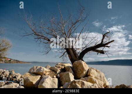 Blue color boats standing on the coast of uluabat lake with  huge mountain background with stones on the port and huge dried tree. 22.01.2021. Golyazi Stock Photo