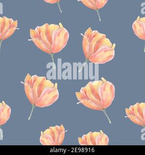 Tulip seamless pattern on gray background. Watercolor pink tulips. Stock Photo