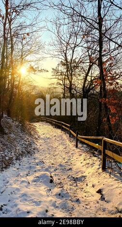 snowy forest road in hungary. Amazing view with sunrise and snow covered road Stock Photo