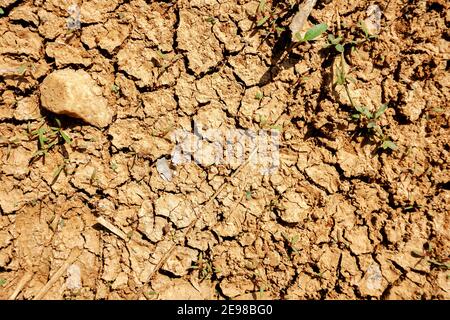 texture of the dry land Stock Photo