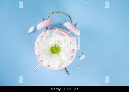 Spring Time Change flatlay. Summer back concept. Retro Vintage alarm Clock with fresh, beautiful white spring daisy flower on pastel blue background t Stock Photo