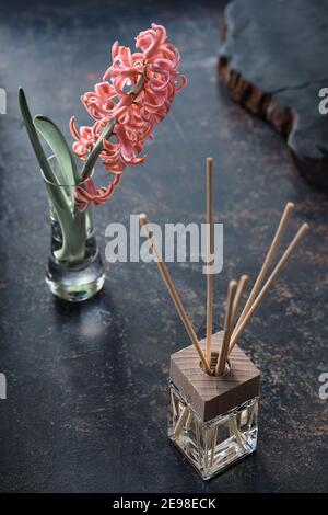 Moody dark background with aroma reed diffuser and pink hyacinth flower in glass on aged textured background. Distressed grunge, retro toned Stock Photo