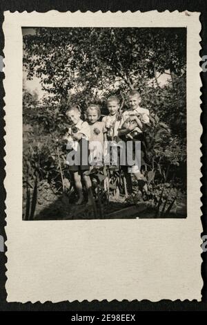 Germany - CIRCA 1930s: Group photo of four small kids standing and holding cats in garden. Vintage archive Art Deco era photography Stock Photo