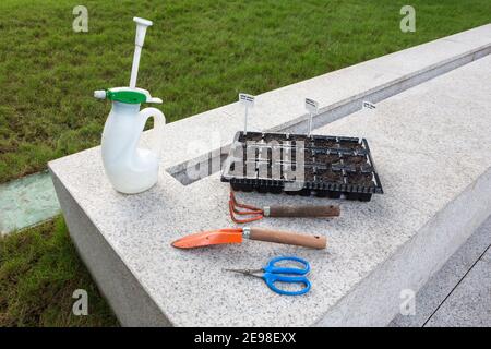 Close up of gardening tools and nursery tray sown with plant seeds on granite bench in terrace with grass in the background. Watering can, rake, shove Stock Photo