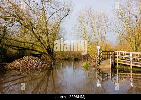 Car park and bridge flooding, River Ver,  Frogmore Park Street St. Albans Stock Photo