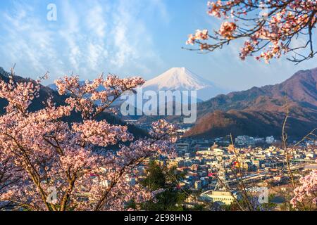 Otsuki, Japan cityscape with Mt. Fuji in spring season with cherry blossoms.