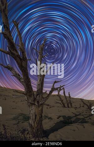 Beautiful sky at night with star trails and a dead tree in a dune. Valdevaqueros, Tarifa, Andalusia, Spain. Stock Photo