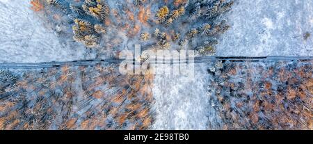 Track in wet ground left by logging tractor in winter forest from above Stock Photo