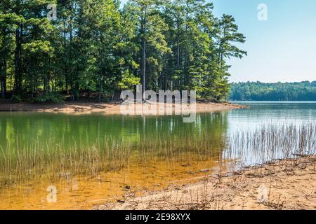 Drought conditions at Lake Lanier in georgia with water levels low exposing the tree roots and shallow shorelines on a sunny day in late summer Stock Photo
